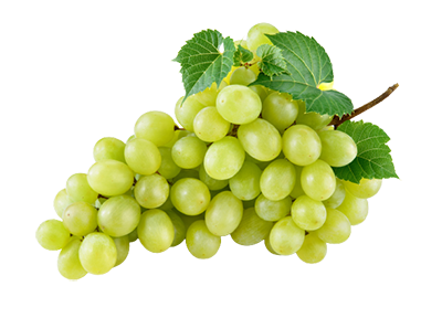 Grapes