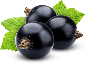 Organic Blackcurrants